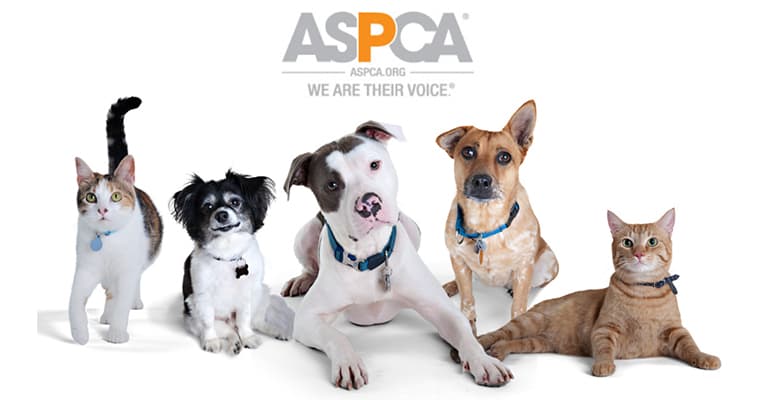 reputable locksmith services